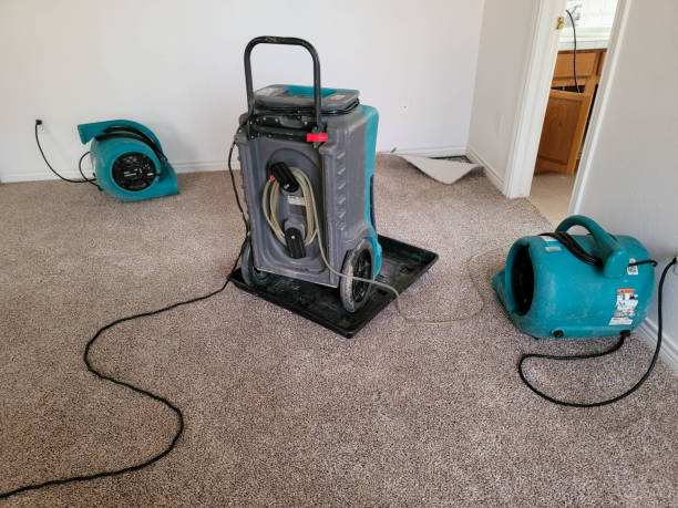 Best 24-hour water damage restoration  in Poydras, LA