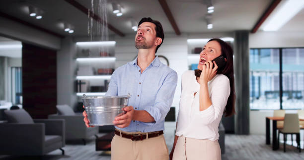 Best Water damage cleanup near me  in Poydras, LA
